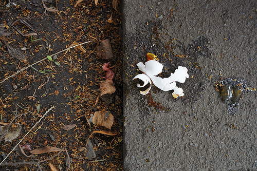 You Can't Make An Omelette4