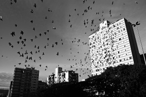 Photo by Ruyepije on FLickr