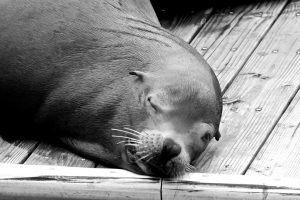 [Photo by Gerrit Gummelt]