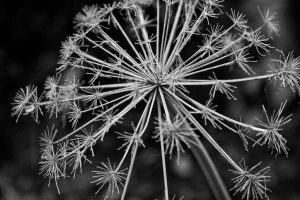 5662548232_3ee6cddb41_b